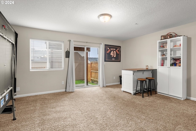 miscellaneous room with carpet flooring and a textured ceiling