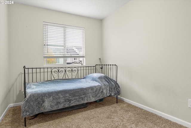 bedroom featuring carpet flooring