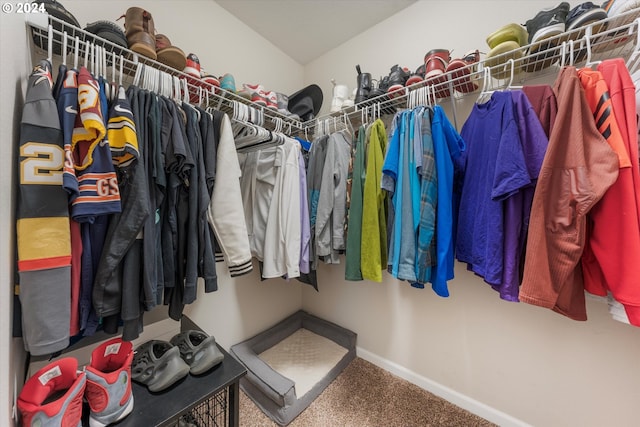 walk in closet with carpet flooring