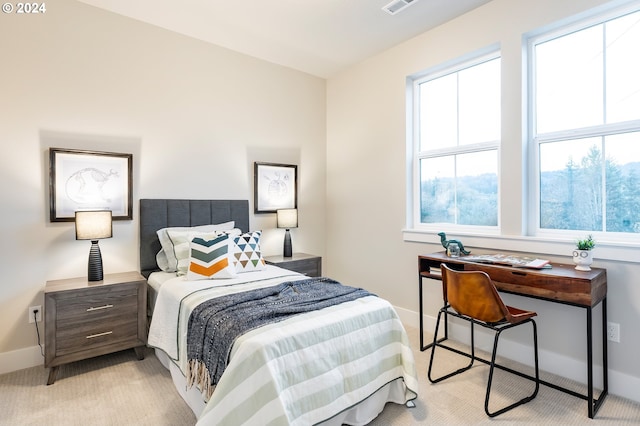 carpeted bedroom with multiple windows