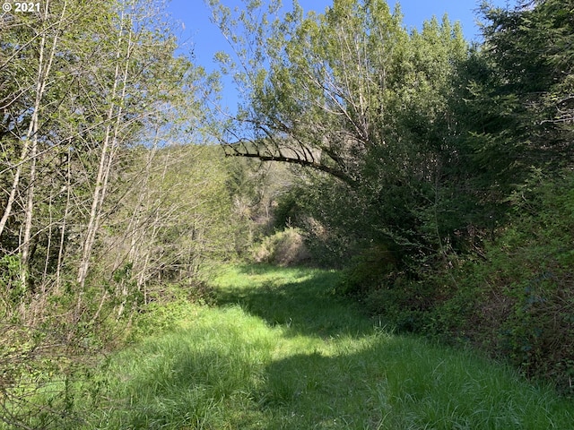 00 Coho, Brookings, OR 97415
