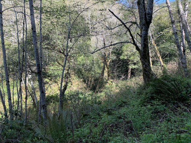 00 Coho, Brookings, OR 97415