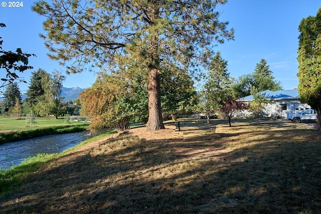 view of yard featuring a mountain view