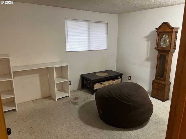 sitting room with a textured ceiling and light colored carpet