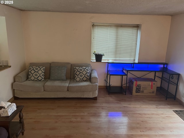 living room with a textured ceiling and hardwood / wood-style flooring