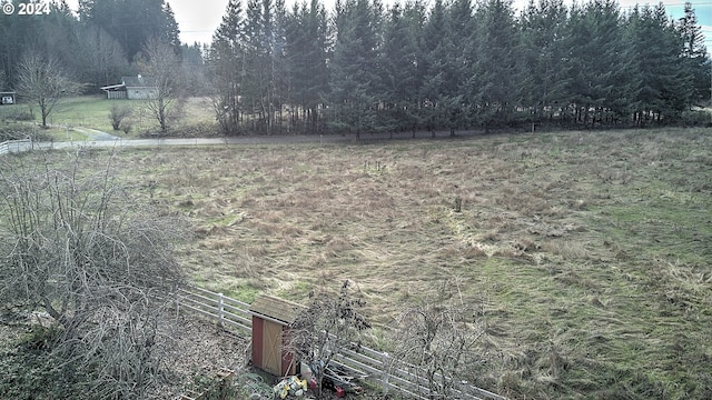 view of yard with a rural view