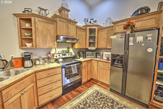 kitchen featuring stainless steel appliances, sink, and dark hardwood / wood-style floors