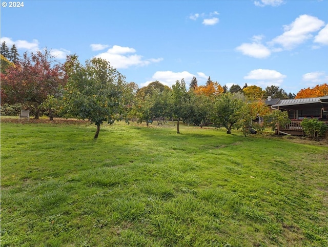 view of yard with a wooden deck and a rural view