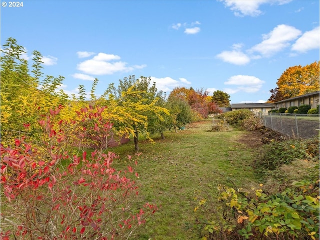 view of yard