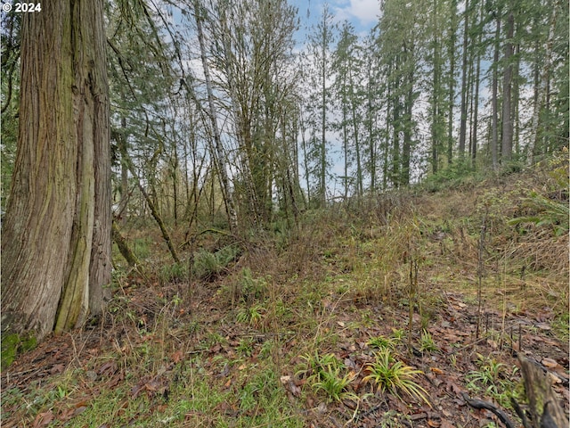 W E St, Vernonia OR, 97064 land for sale