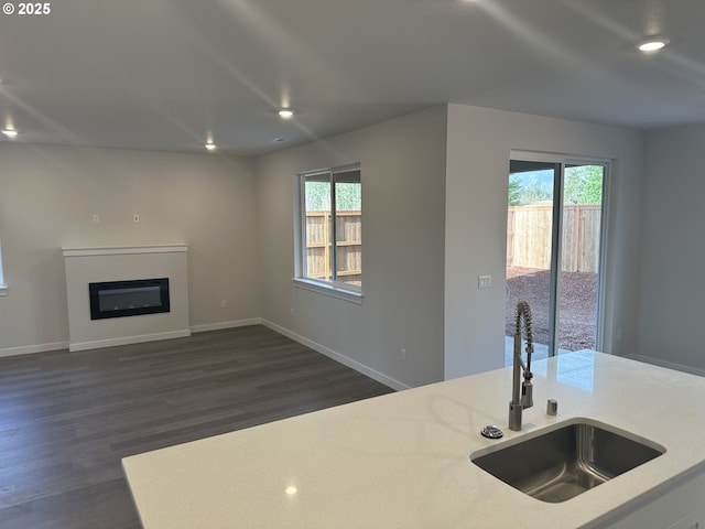 kitchen featuring dark hardwood / wood-style floors and sink