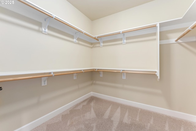 spacious closet with carpet floors