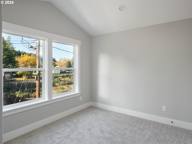 carpeted spare room with plenty of natural light and lofted ceiling