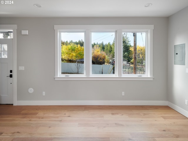 foyer entrance with light hardwood / wood-style floors and a healthy amount of sunlight