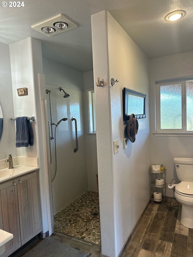 bathroom featuring vanity, toilet, and a shower