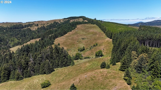 aerial view with a mountain view