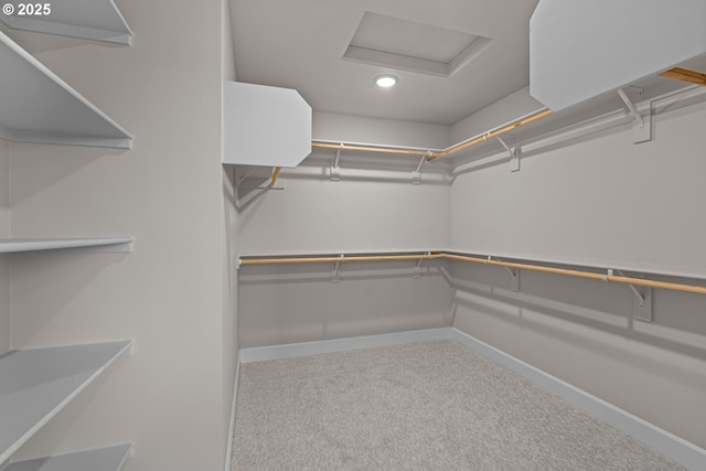 walk in closet featuring carpet