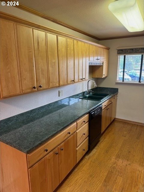 kitchen with black dishwasher, a textured ceiling, light hardwood / wood-style flooring, ornamental molding, and sink