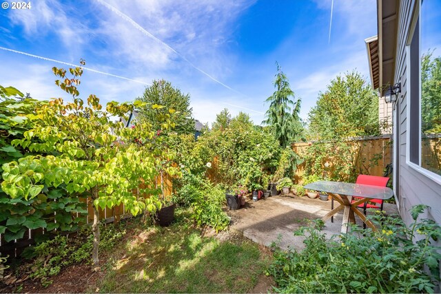 view of yard featuring a patio