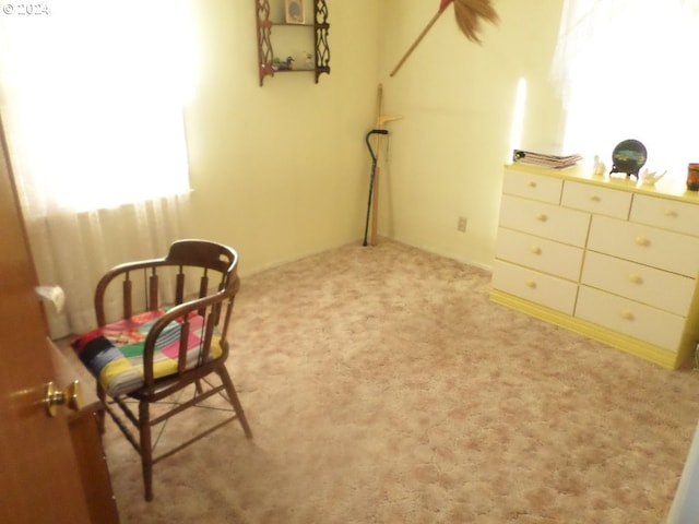 sitting room with light colored carpet