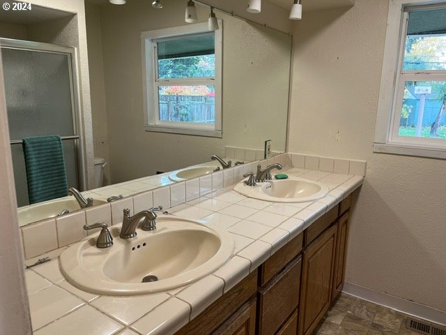 bathroom with a wealth of natural light, a shower with shower door, and vanity