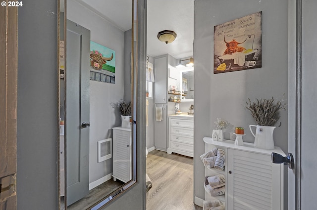 bathroom with wood-type flooring