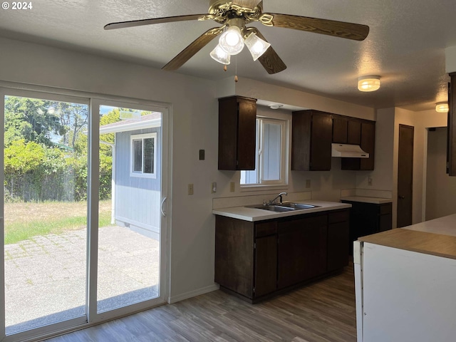 kitchen featuring ceiling fan, dark brown cabinetry, sink, and light hardwood / wood-style flooring