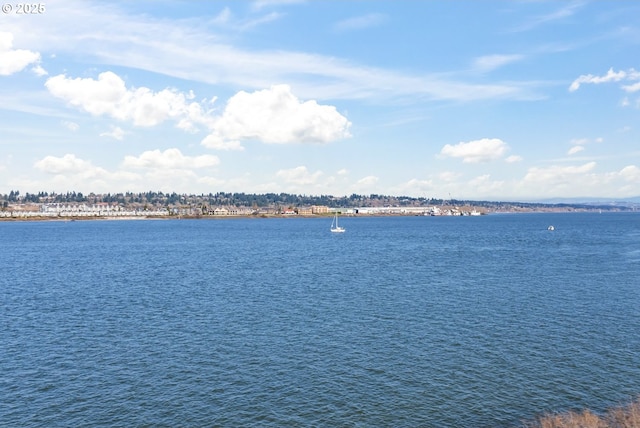 view of water feature