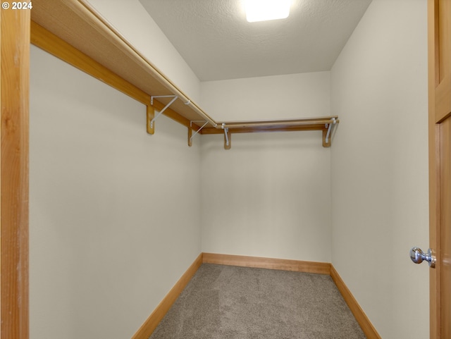 walk in closet featuring carpet