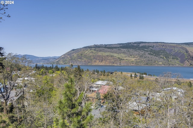 775 Fifth Ave Unit 23, Mosier OR, 97040 land for sale