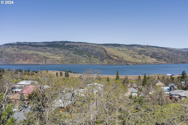 Listing photo 2 for 775 Fifth Ave Unit 23, Mosier OR 97040