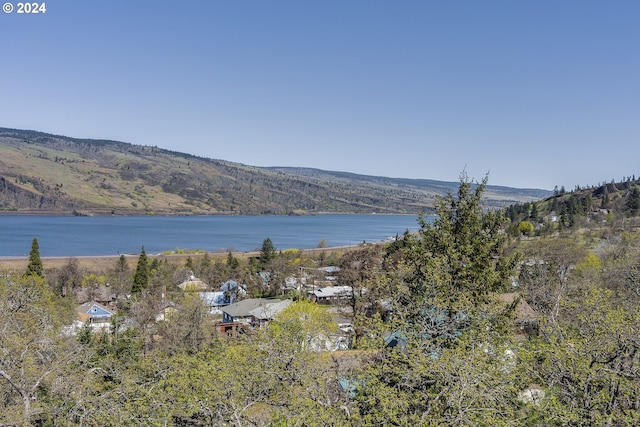 Listing photo 3 for 775 Fifth Ave Unit 23, Mosier OR 97040