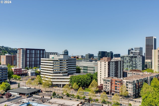 view of property's view of city