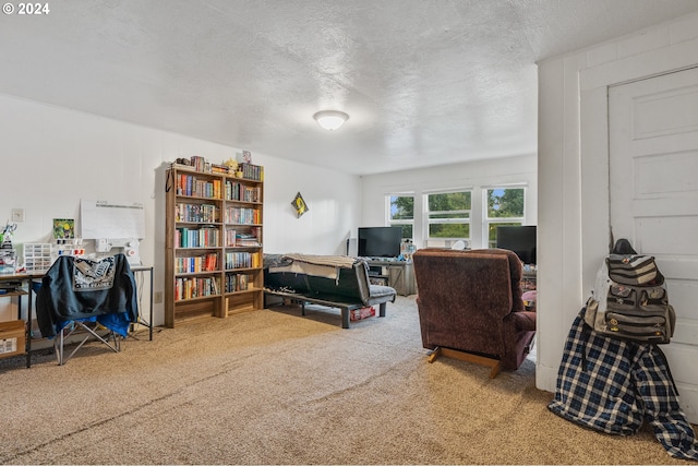 living room featuring a textured ceiling and carpet