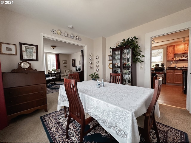 dining area with carpet