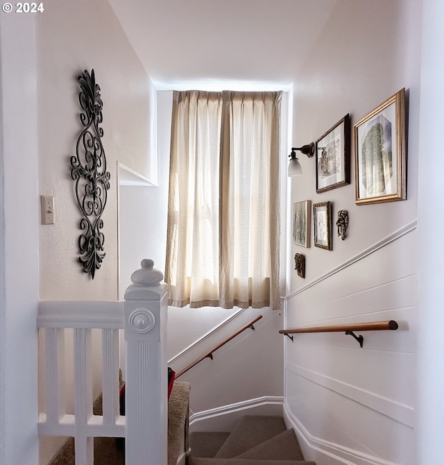 stairway with carpet flooring