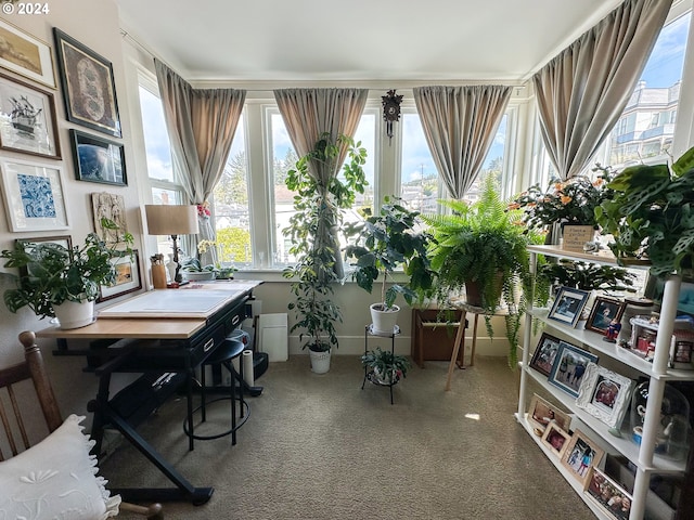 view of carpeted home office