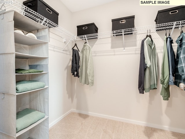 walk in closet with carpet floors