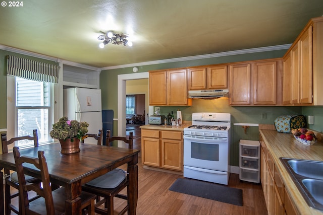 kitchen with dark wood-style floors, white appliances, a sink, and under cabinet range hood