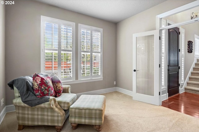 living area featuring carpet floors and a healthy amount of sunlight