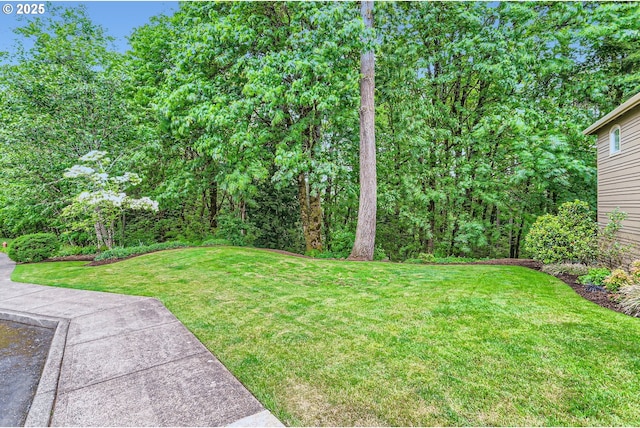 13516 NW Glendoveer Dr, Portland, OR 97231 - view of green lawn