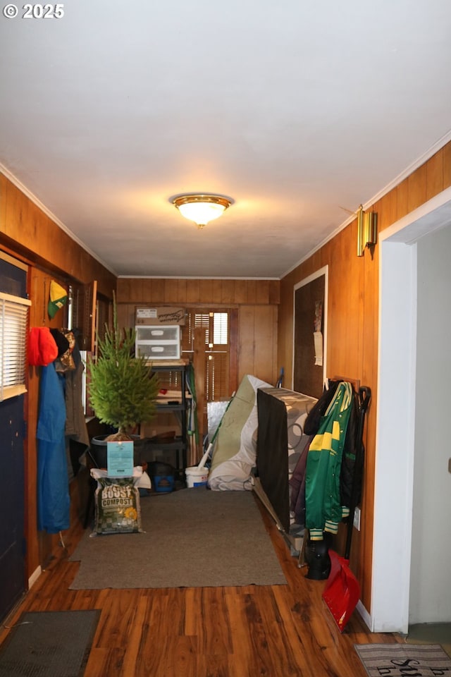 interior space featuring wood-type flooring, plenty of natural light, and wood walls