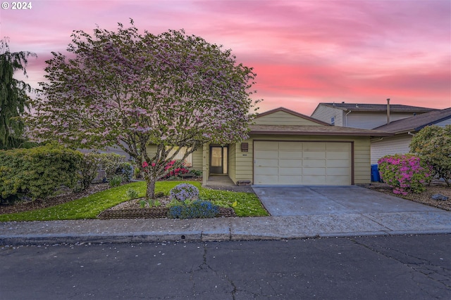 view of front facade with a garage