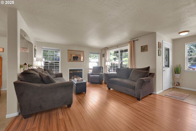 87973 Sherwood St, Veneta, OR 97487 - living room with plenty of natural light, a glass covered fireplace, light wood finished floors, baseboards, and a textured ceiling