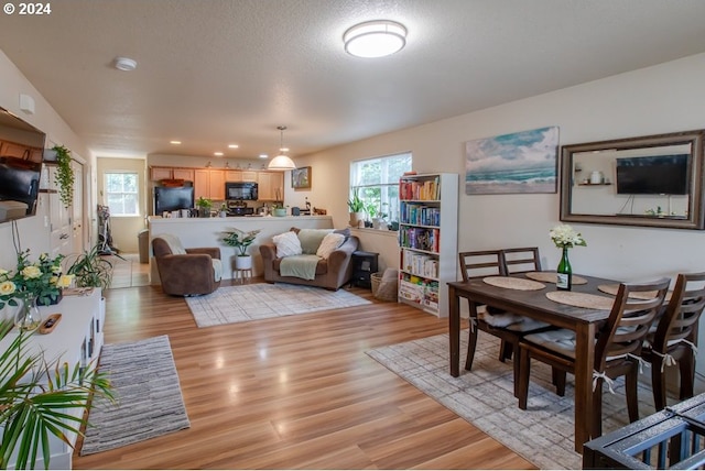 living room featuring a textured ceiling and light hardwood / wood-style flooring