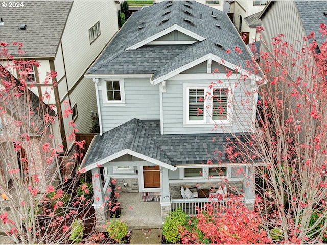 view of rear view of property