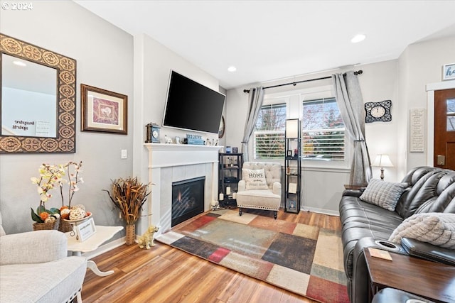 living room with a fireplace and hardwood / wood-style flooring