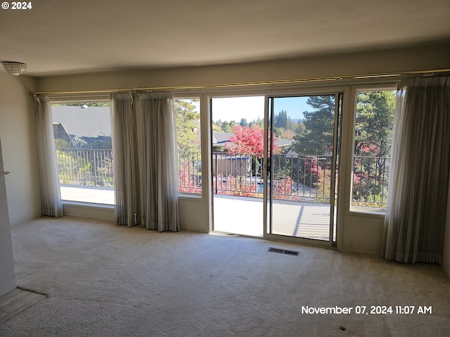 carpeted spare room with plenty of natural light