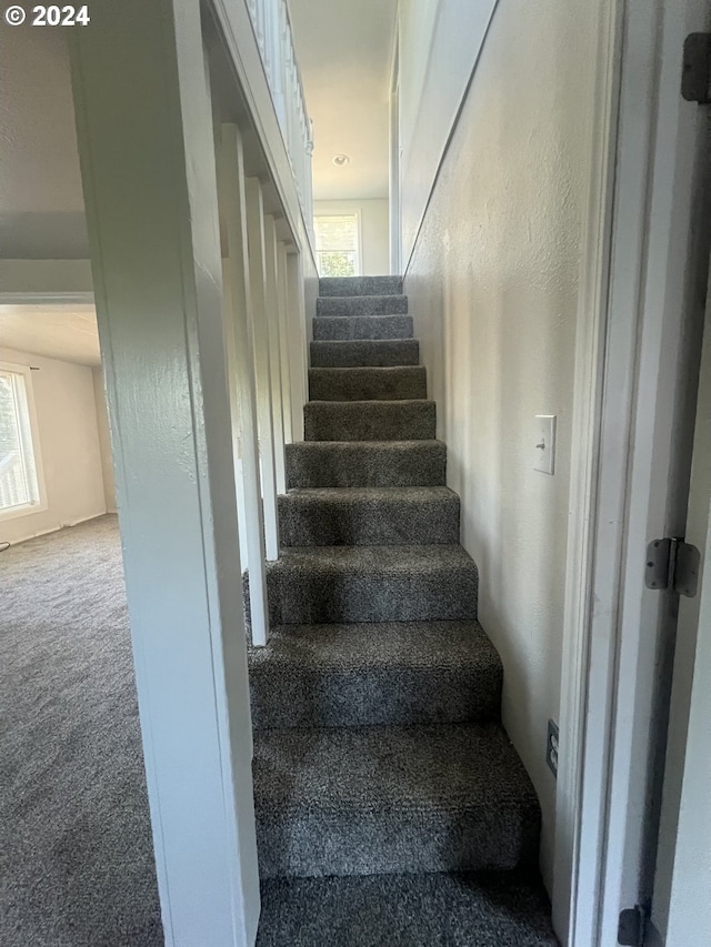 stairway with carpet floors and a healthy amount of sunlight