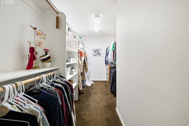 walk in closet featuring dark carpet